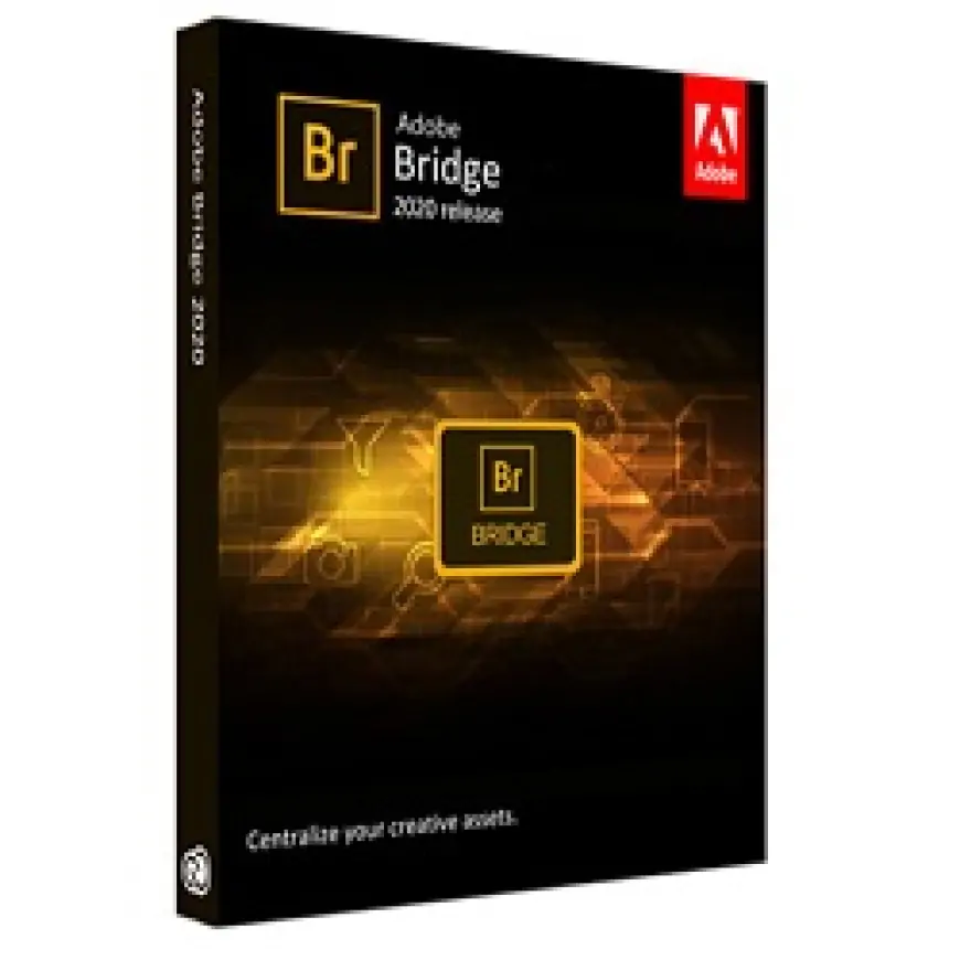 Adobe Bridge 2024 Free Download